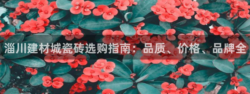 杏鑫娱乐是真的吗