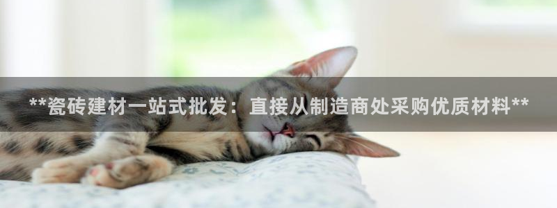 杏鑫注册登录网址是多少