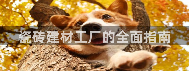 杏鑫平台正规吗可信吗