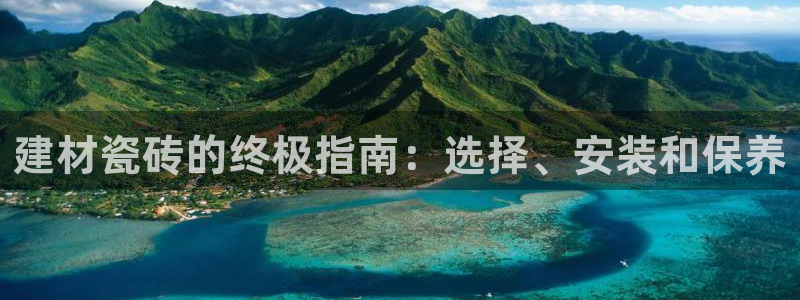 杏鑫代理注册平台