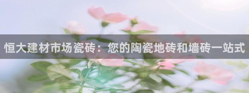 杏鑫平台代理怎么做的