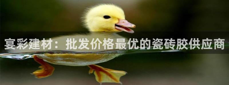 杏鑫娱乐官方网站客户端