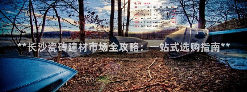 杏鑫官网注册账号是什么样的