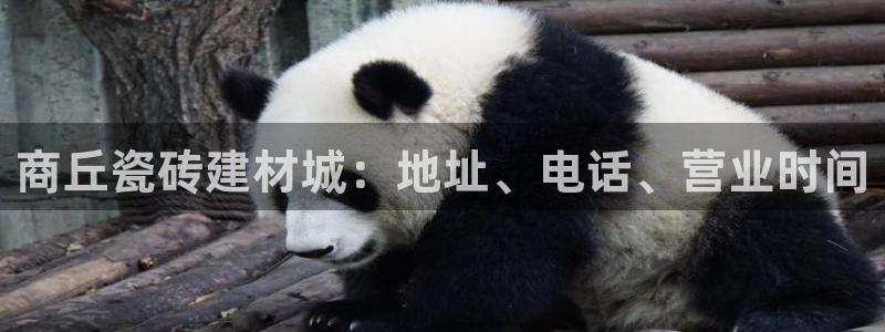 杏鑫平台代理怎么做
