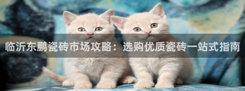 杏鑫娱乐开发团队
