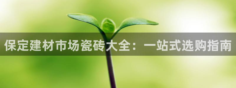 杏鑫平台代理注册流程及费用