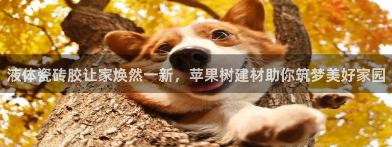 杏鑫娱乐平台测速怎么样