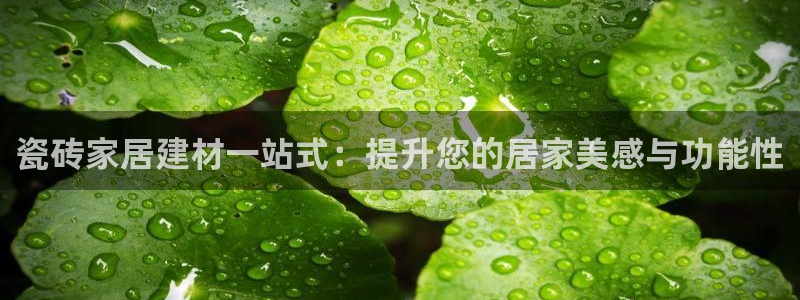 杏鑫官方平台怎么样
