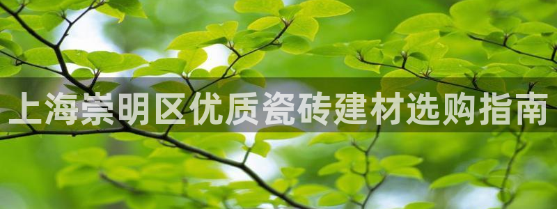 杏鑫平台登录地址