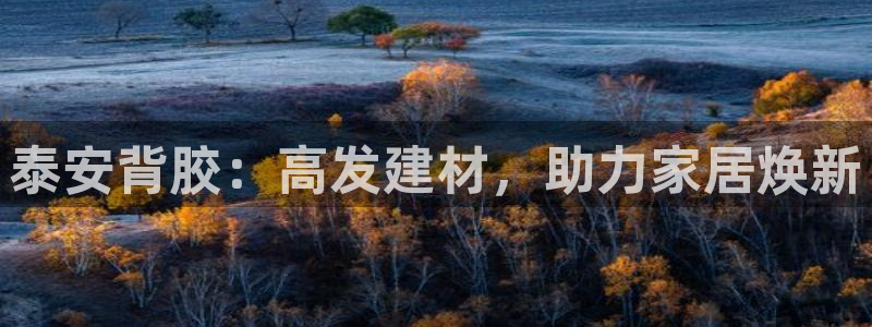 杏鑫娱乐负责人
