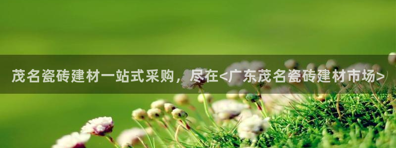 杏鑫平台注册入口在哪