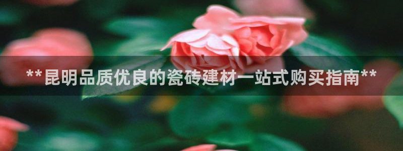 杏鑫平台平台