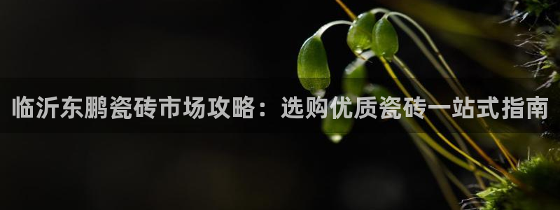 杏鑫官网