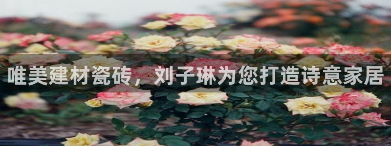 杏鑫娱乐平台登录