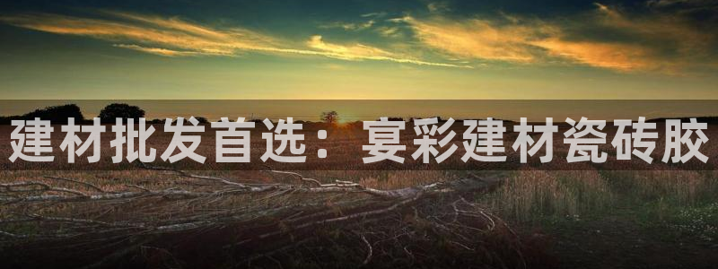 杏鑫官网注册账号密码是什么