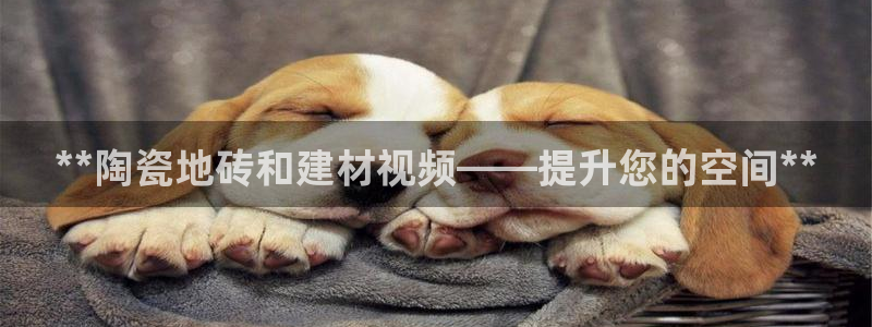 杏鑫平台列7O777