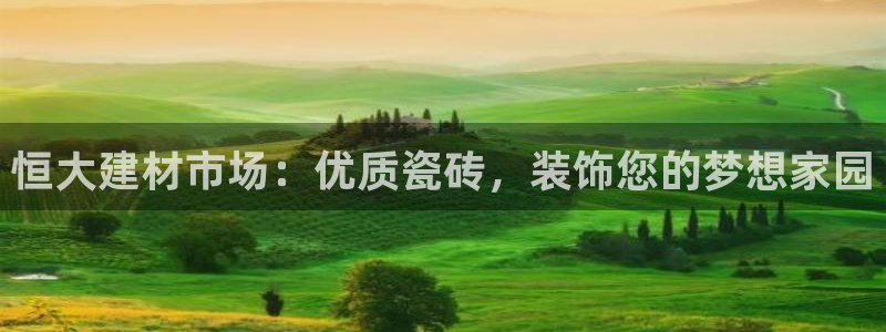 杏鑫平台代理怎么样