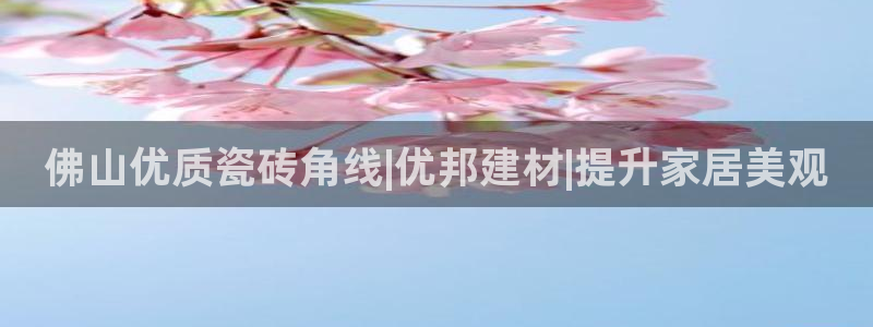 杏鑫3主管
