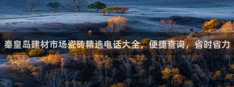 杏鑫代理注册