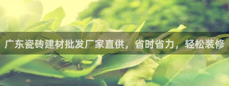 杏鑫手机客户端