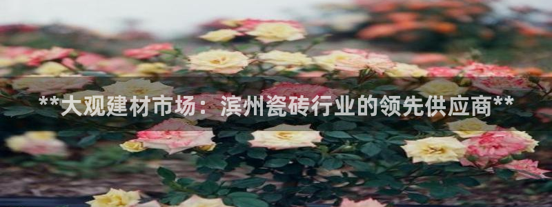 杏鑫娱乐-官方网站