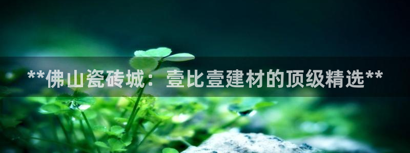 杏鑫招商总代