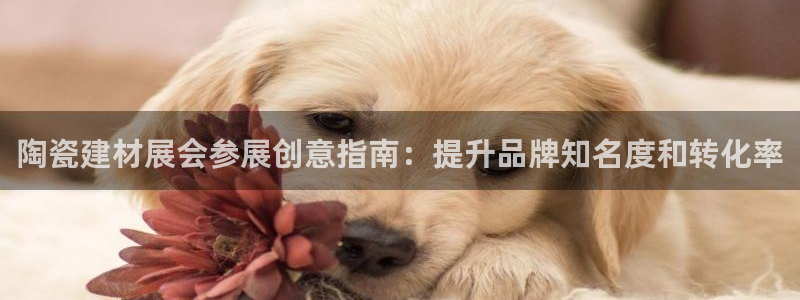 杏鑫平台正规吗可信吗