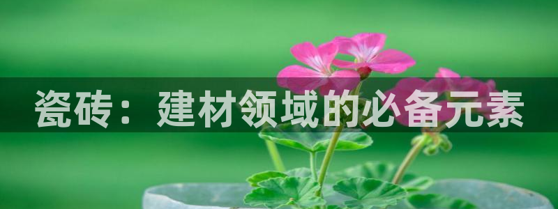 杏鑫官网注册账号怎么注册的