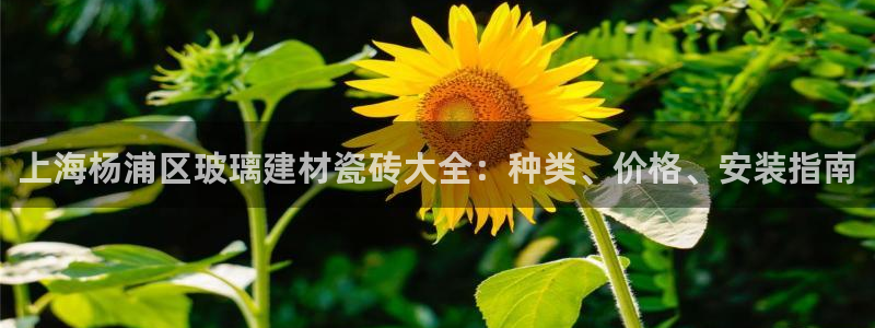 杏鑫平台官方网站