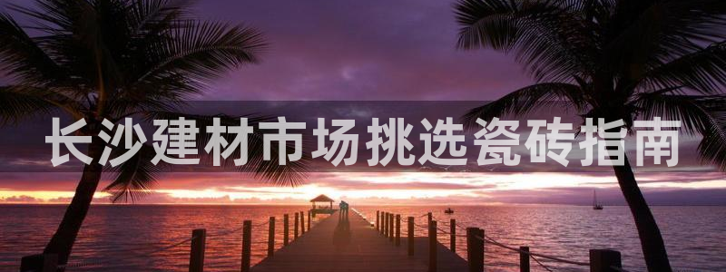 杏鑫平台代理注册流程