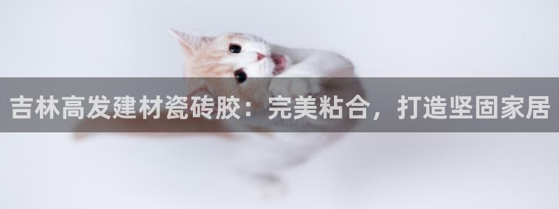 杏鑫平台代理注册多少钱啊