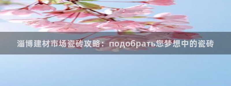 杏鑫官网注册账号是什么样的