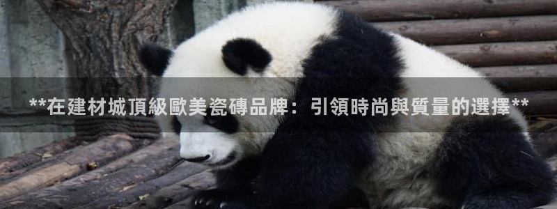 杏鑫官网注册账号怎么注册的