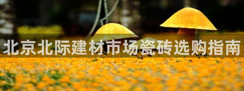 杏鑫平台代理注册多少钱一个