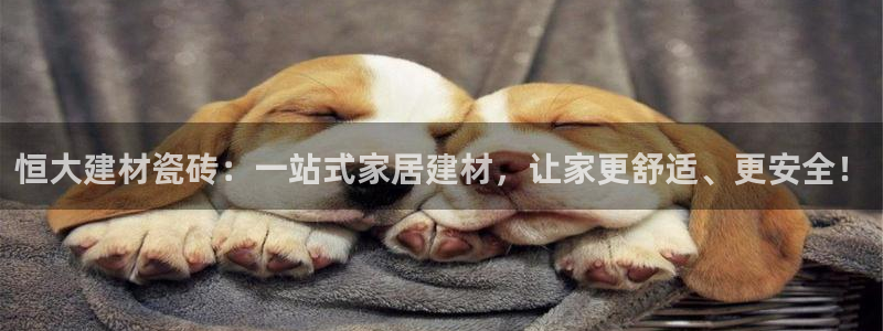杏鑫招商总代