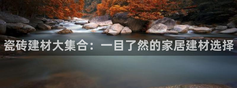 杏鑫平台注册地址是哪里