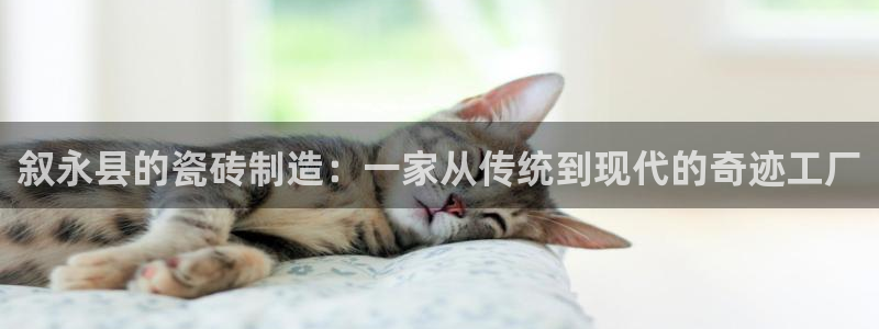 杏鑫平台怎么样黑钱吗知乎推荐
