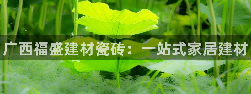 杏鑫注册登录代理公司