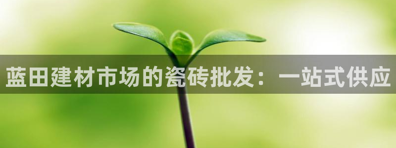 杏鑫平台怎么样黑钱吗知乎推荐