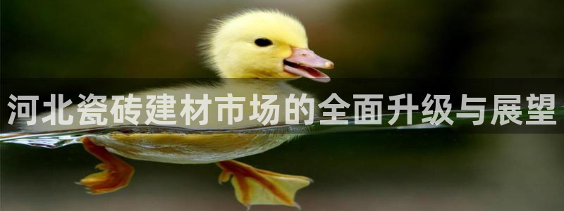 杏鑫代理注册登录