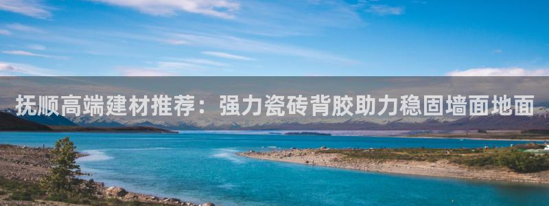 杏鑫平台代理注册流程图