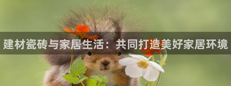 杏鑫平台直属