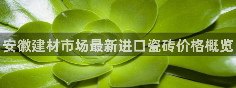 杏鑫平台招商怎么样