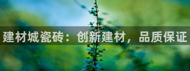 杏鑫官网