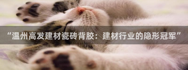 杏鑫娱乐是合法的吗?