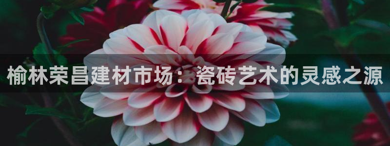 杏鑫娱乐官网登录不了