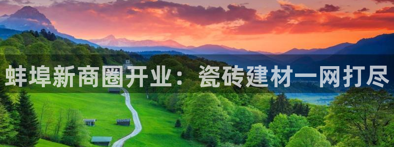 杏鑫平台注册网址查询