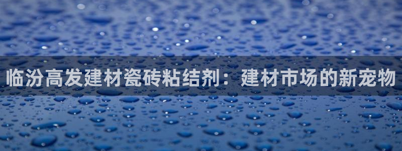 杏鑫平台注册登录