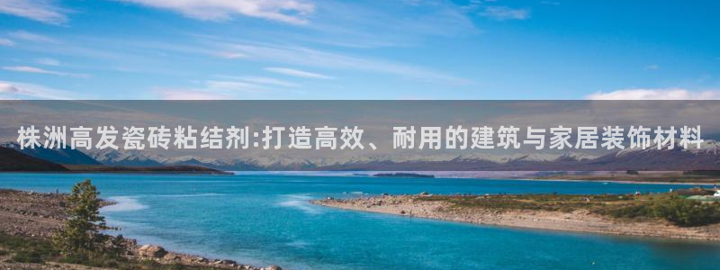 杏鑫平台注册地址是哪里