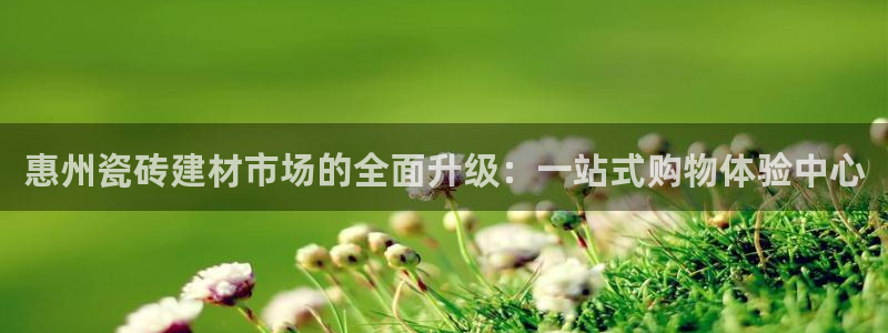 杏鑫官网注册账号怎么注册不了